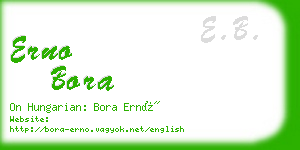 erno bora business card